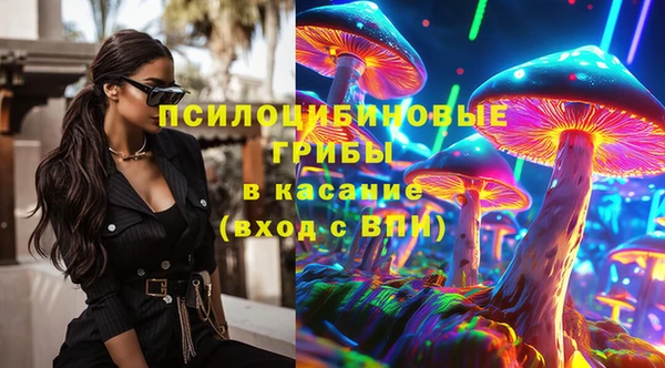 спайс Алзамай