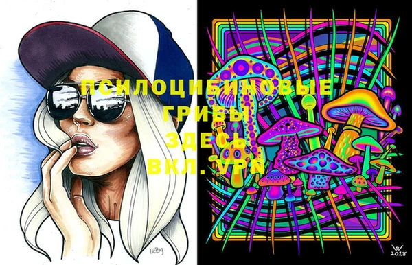 стафф Алексин