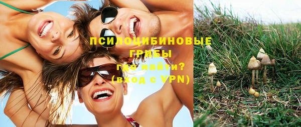 стафф Алексин