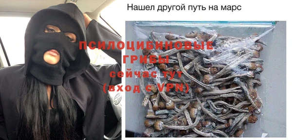стафф Алексин