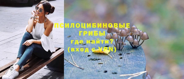 спиды Алексеевка
