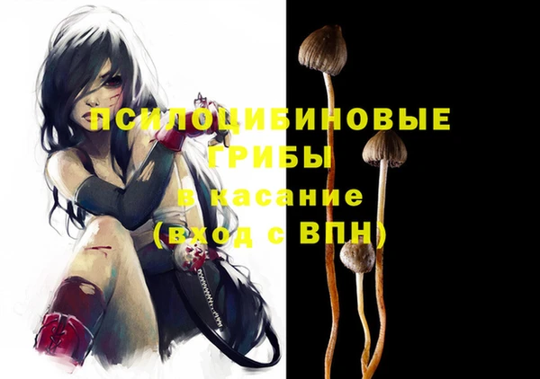 стафф Алексин
